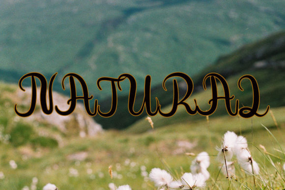 Almond Nut Font - Preview 2