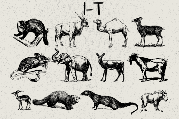 Animals Font - Preview 2