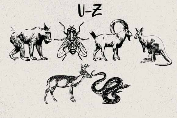Animals Font - Preview 3
