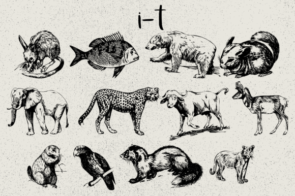 Animals Font - Preview 4