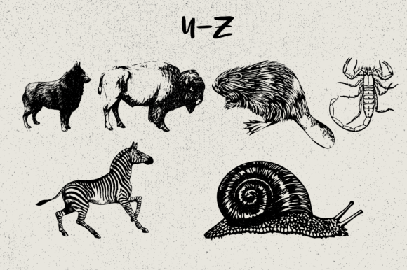 Animals Font - Preview 5