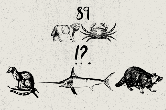 Animals Font - Preview 6