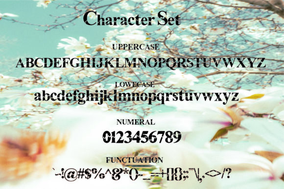 Beauty Wave Font - Preview 3