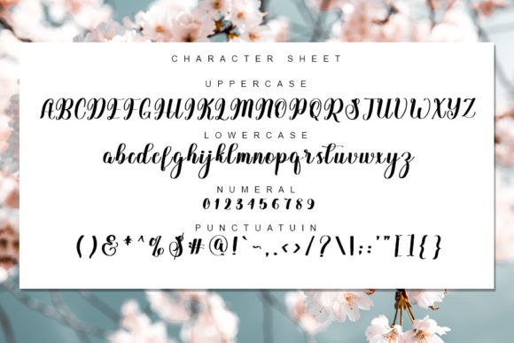 Delysha Script Font - Preview 2