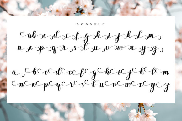 Delysha Script Font - Preview 3