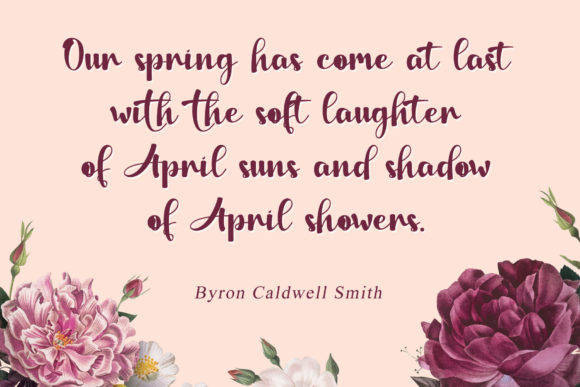 Fattia Spring Font PNG with transparent background - Preview 1