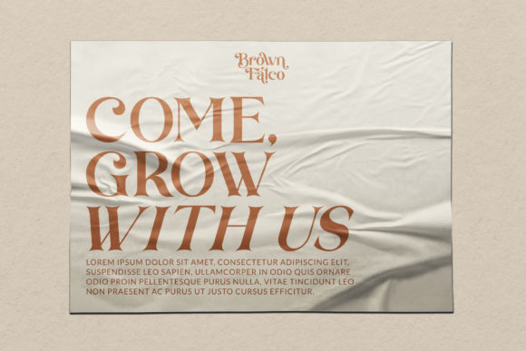Brown Falco Font - Preview 3