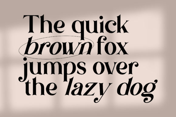 Brown Falco Font - Preview 5