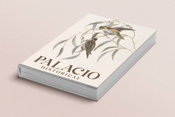 Brown Falco Font - Preview 2