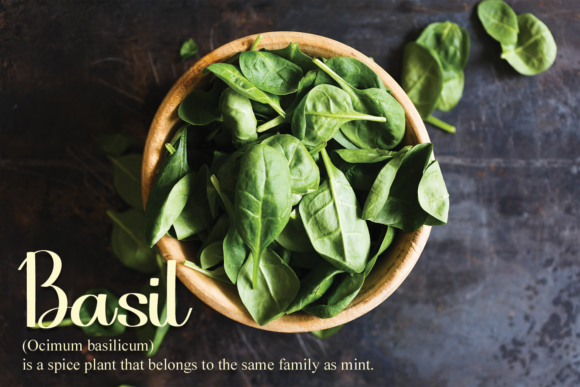 Cooking Font - Preview 1