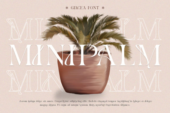 Glacea Font - Preview 5