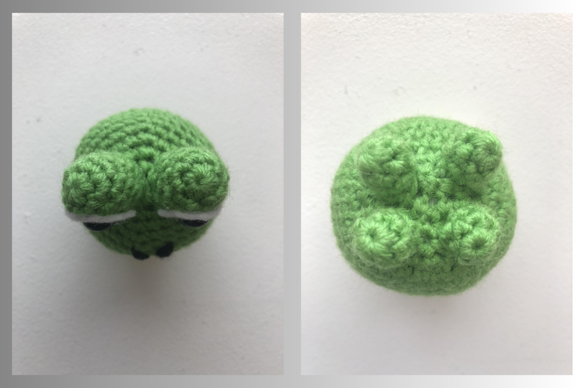 Chubby Frog