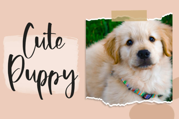 Puppylike Font PNG with transparent background - Preview 3