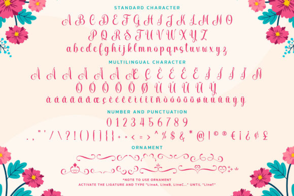 Bianca Romantic Font Font - Preview 6