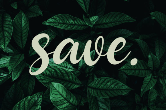 Chime Bells Font PNG with transparent background - Preview 4