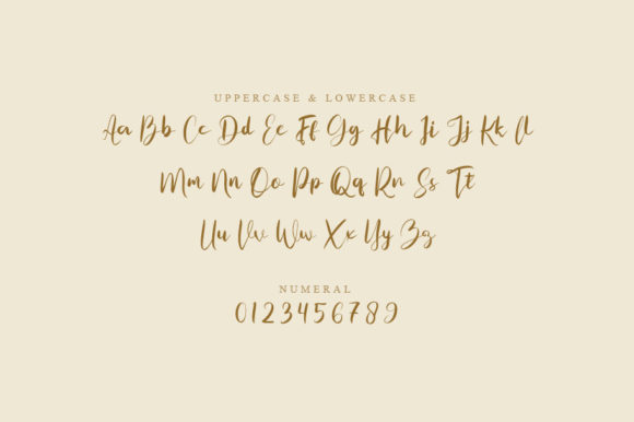 Riofam Font PNG with transparent background - Preview 1