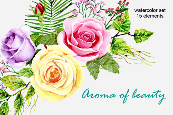 Watercolor Roses Graphic Illustrations By tapilipa