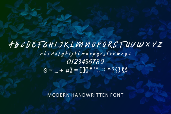 Apelo Forte Font - Preview 2
