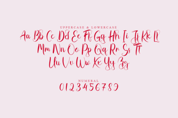 Edisp Script Font - Preview 1