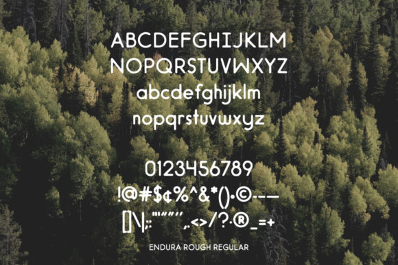 Endura Rough Font - Preview 2