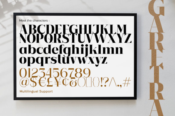 Garetra - Serif Family Font - Preview 6