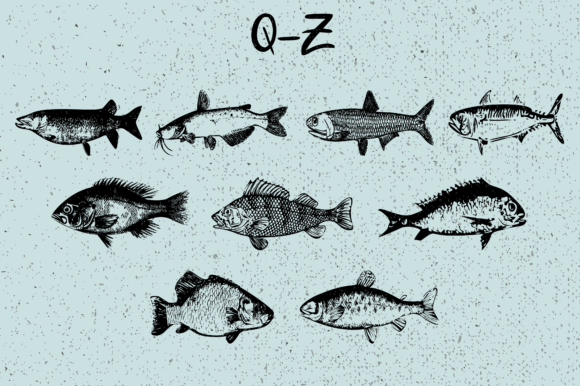 La Mer Font PNG with transparent background - Preview 3