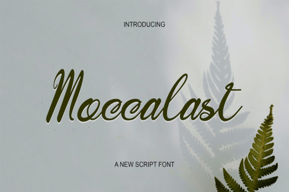 Moccalast Font PNG with transparent background - Preview 1