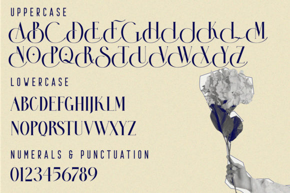 Activists Font - Preview 6