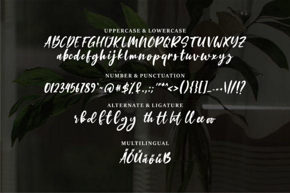 Anitta Font PNG with transparent background - Preview 5