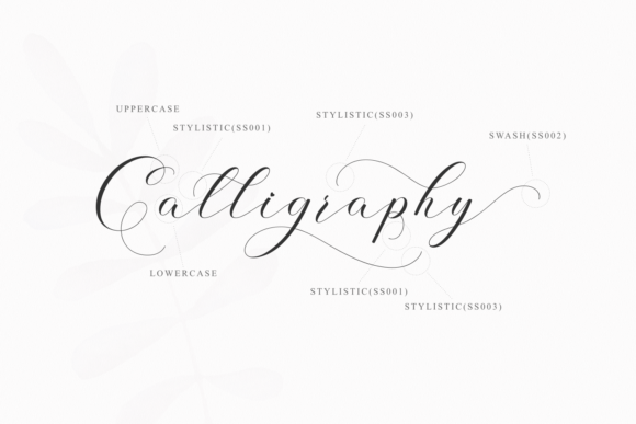 Anshelyna Font - Preview 6