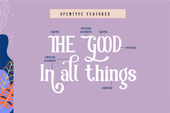 Blackcurrant Font - Preview 4