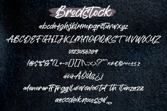Brodstock Font - Preview 4