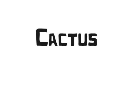 Cactus Font Font - Preview 1