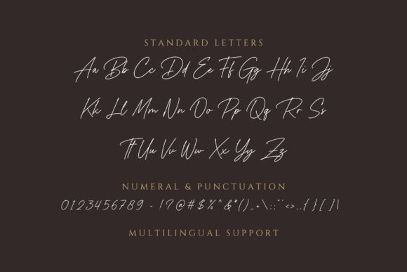 Handsta Signature Font PNG with transparent background - Preview 4