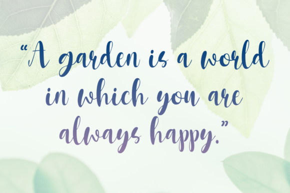 Fresh Garden Font PNG with transparent background - Preview 2