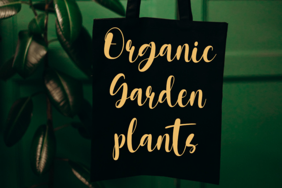Fresh Garden Font PNG with transparent background - Preview 3