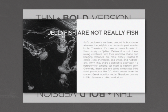 Geomatrix Font - Preview 4