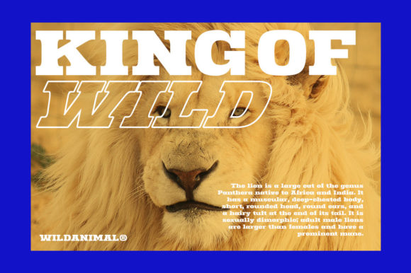 Ridge Cliff Font font preview - 2