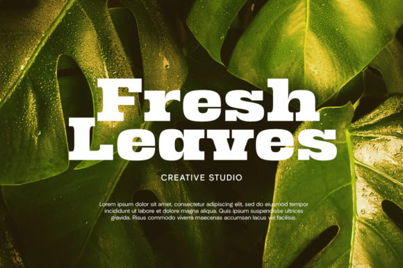 Ridge Cliff Font font preview - 5