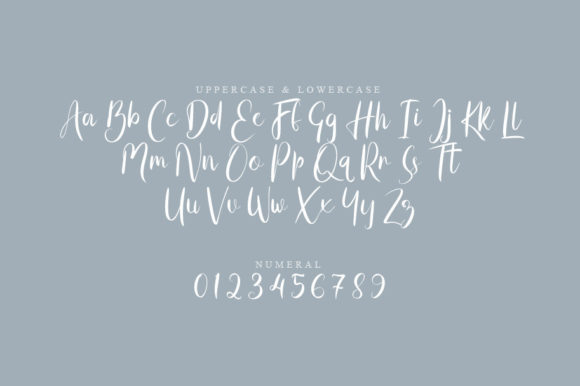 Atids Script Font - Preview 1