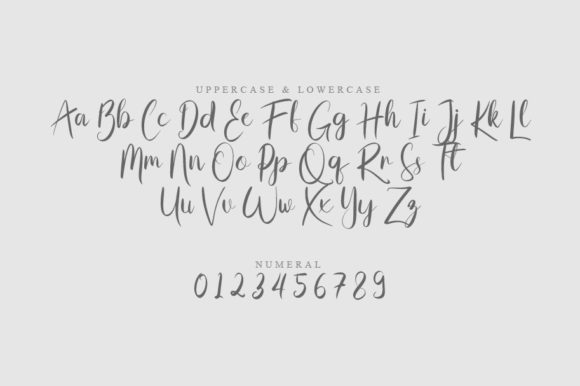 Slotip Script Font PNG with transparent background - Preview 1