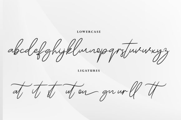 Bouton Signature Font - Preview 5