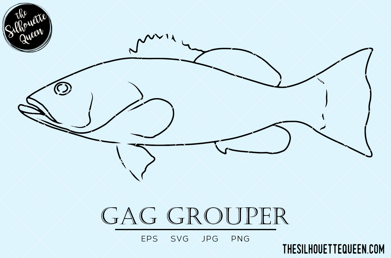 Gag Grouper Hand Sketched Graphic by thesilhouettequeenshop · Creative ...