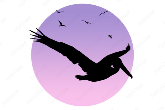 Pelican Silhouette Flying Bird Design