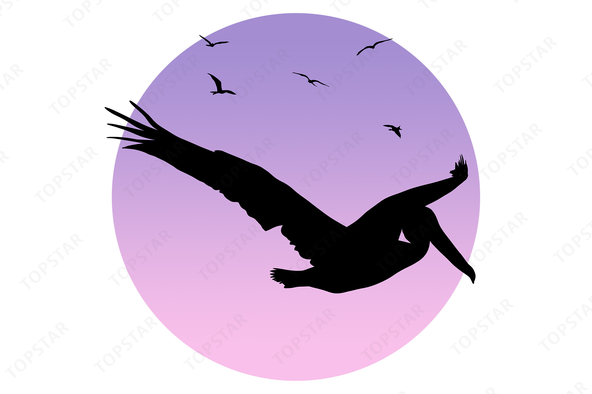 Pelican Silhouette Flying Bird Design