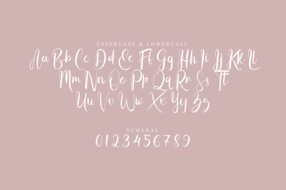 Anse Script Font - Preview 1