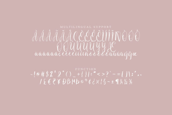 Anse Script Font - Preview 2
