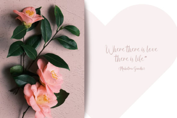 Anse Script Font - Preview 3