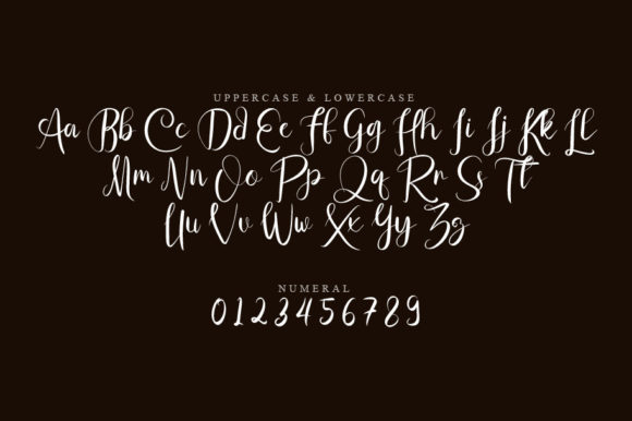 Antique Script Font - Preview 1