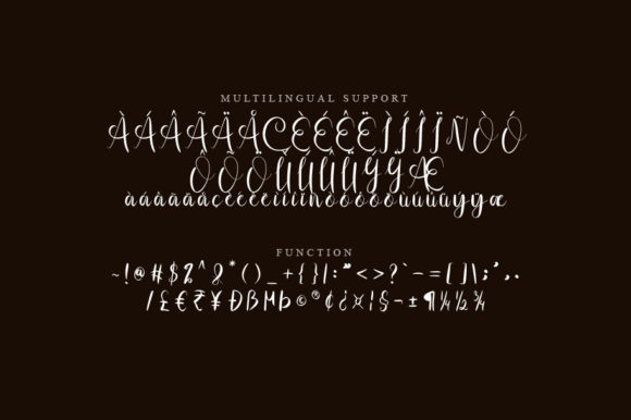 Antique Script Font - Preview 2